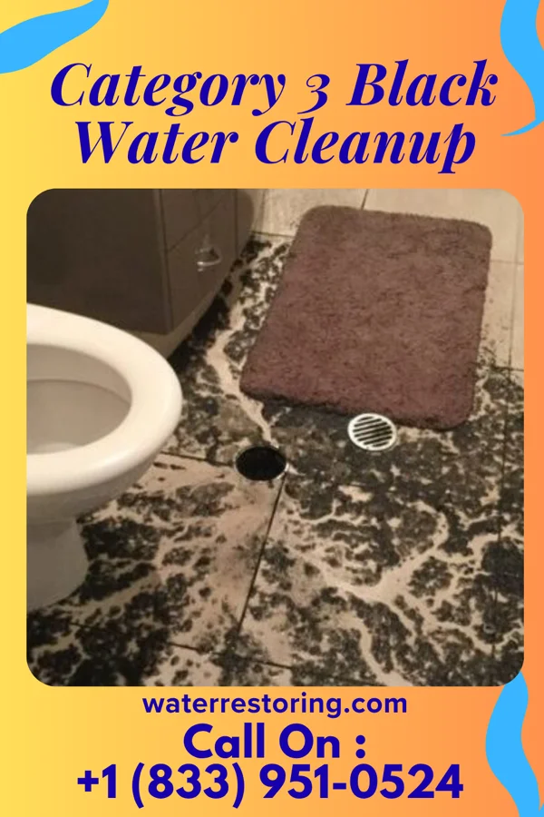 Category 3 Black Water Cleanup in Highland Park, IL
