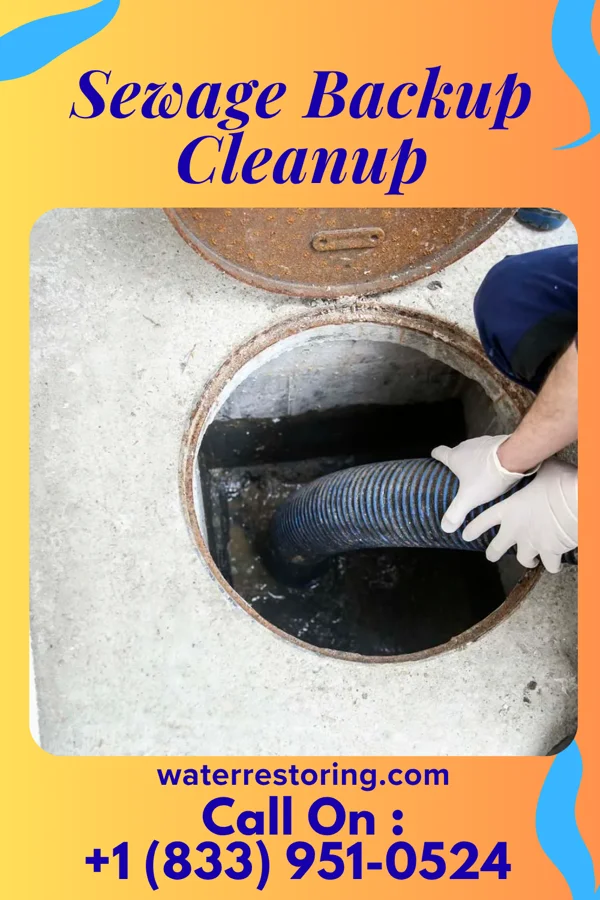 Sewage Backup Cleanup in Highland Park, IL